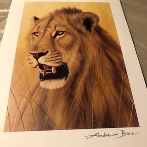 Andrew bone young warrior picture Authentic